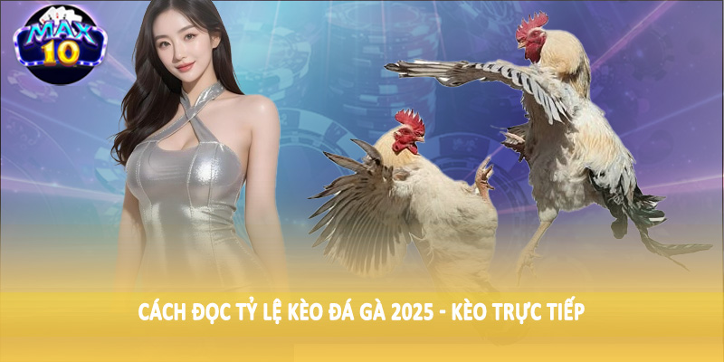 Cách đọc tỷ lệ kèo đá gà 2025 - Kèo trực tiếp