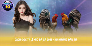 Cách đọc tỷ lệ kèo đá gà 2025 - Xu hướng đầu tư