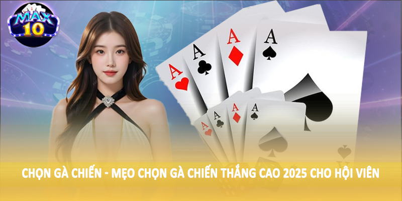Chọn gà chiến - Mẹo chọn gà chiến thắng cao 2025 cho hội viên
