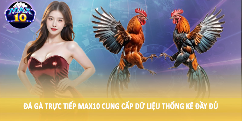 Đá gà trực tiếp MAX10 cung cấp dữ liệu thống kê đầy đủ