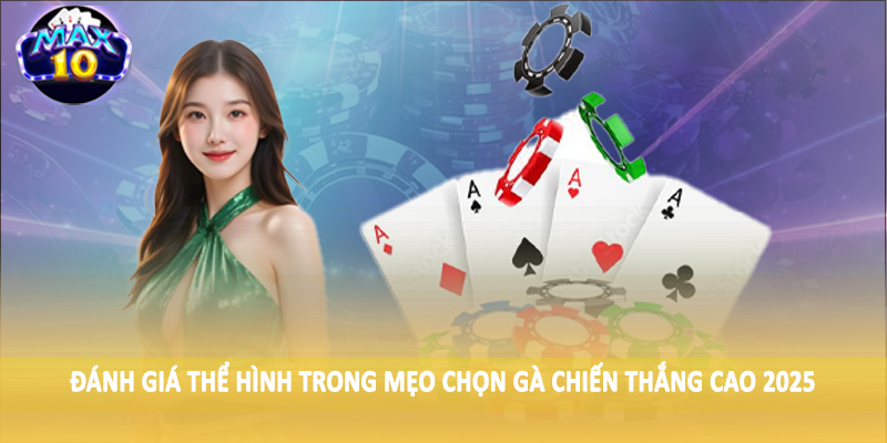 Đánh giá thể hình trong mẹo chọn gà chiến thắng cao 2025