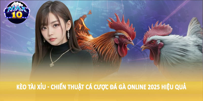 Kèo tài xỉu - Chiến thuật cá cược đá gà online 2025 hiệu quả
