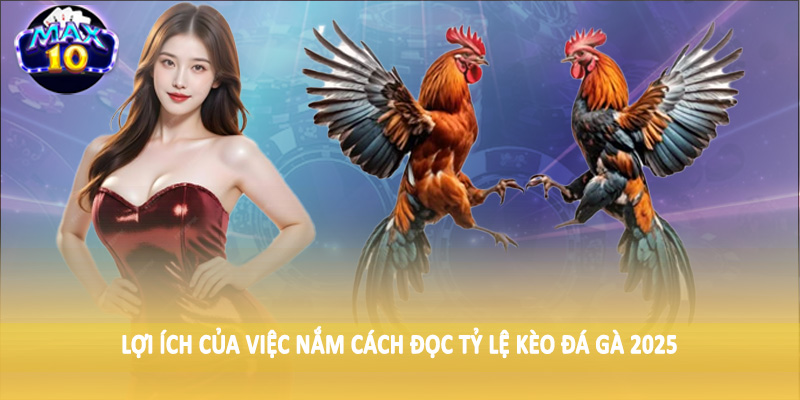 Lợi ích của việc nắm cách đọc tỷ lệ kèo đá gà 2025