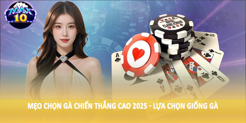 Mẹo chọn gà chiến thắng cao 2025 - Lựa chọn giống gà