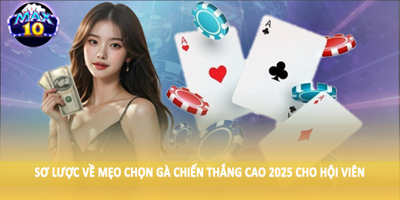 Sơ lược về mẹo chọn gà chiến thắng cao 2025 cho hội viên