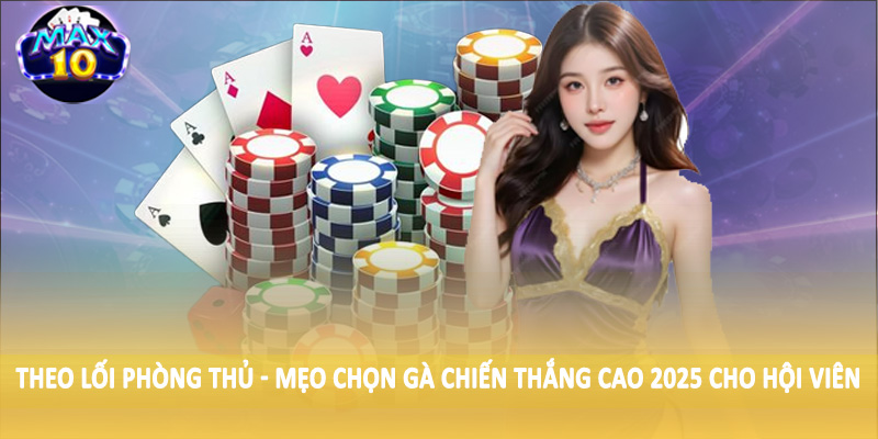 Theo lối phòng thủ - Mẹo chọn gà chiến thắng cao 2025 cho hội viên