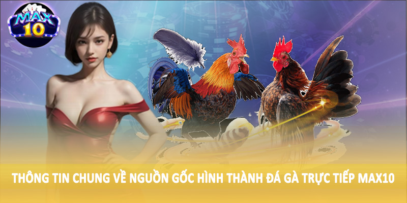 Thông tin chung về nguồn gốc hình thành đá gà trực tiếp MAX10