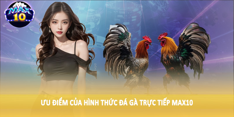 Ưu điểm của hình thức đá gà trực tiếp MAX10