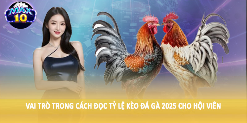 Vai trò trong cách đọc tỷ lệ kèo đá gà 2025 cho hội viên